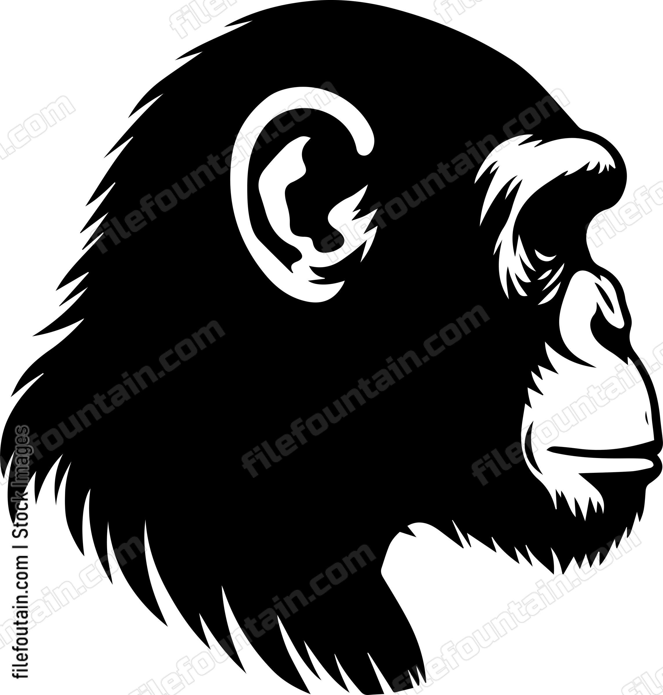 Chimp