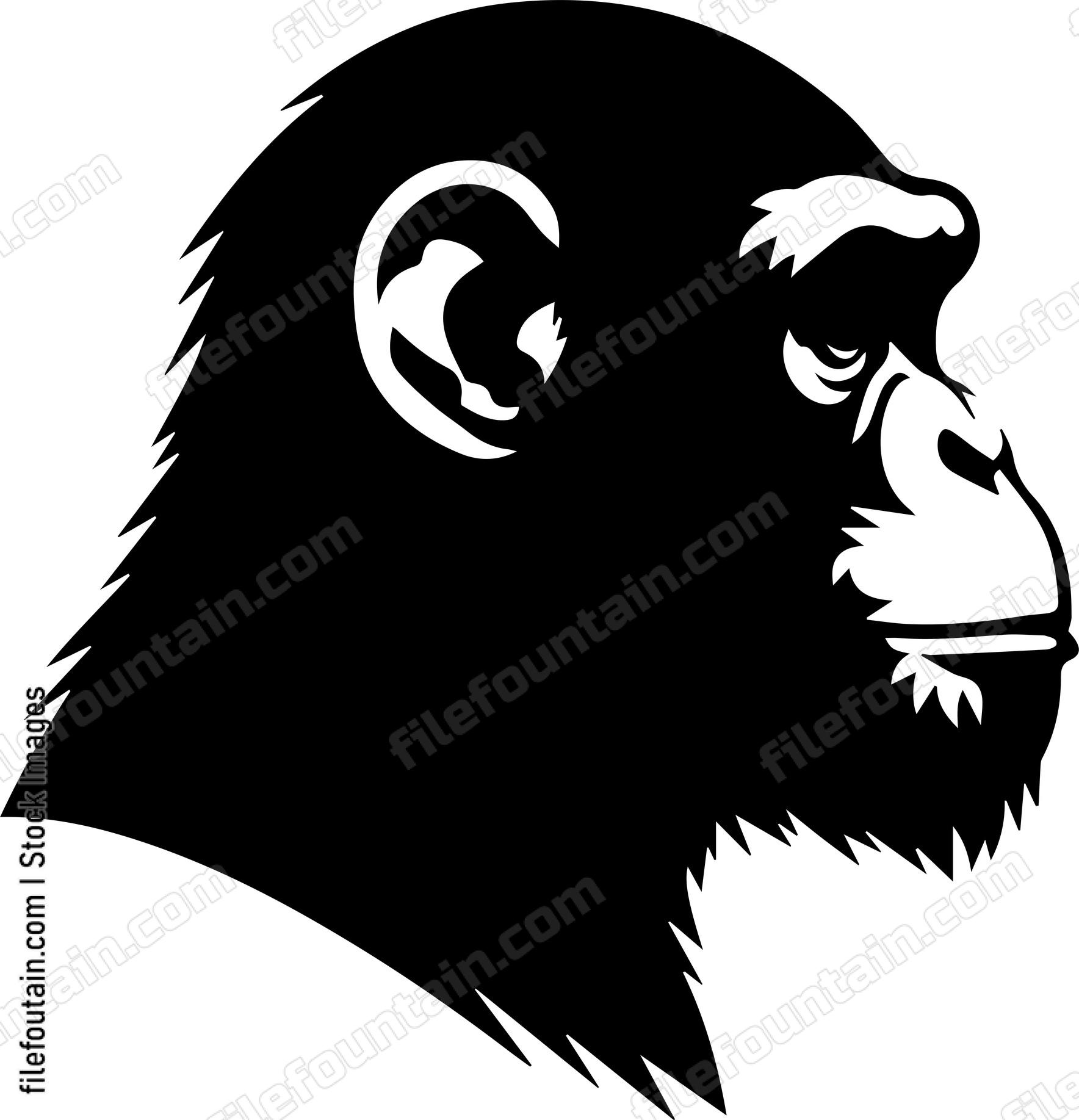 Chimp