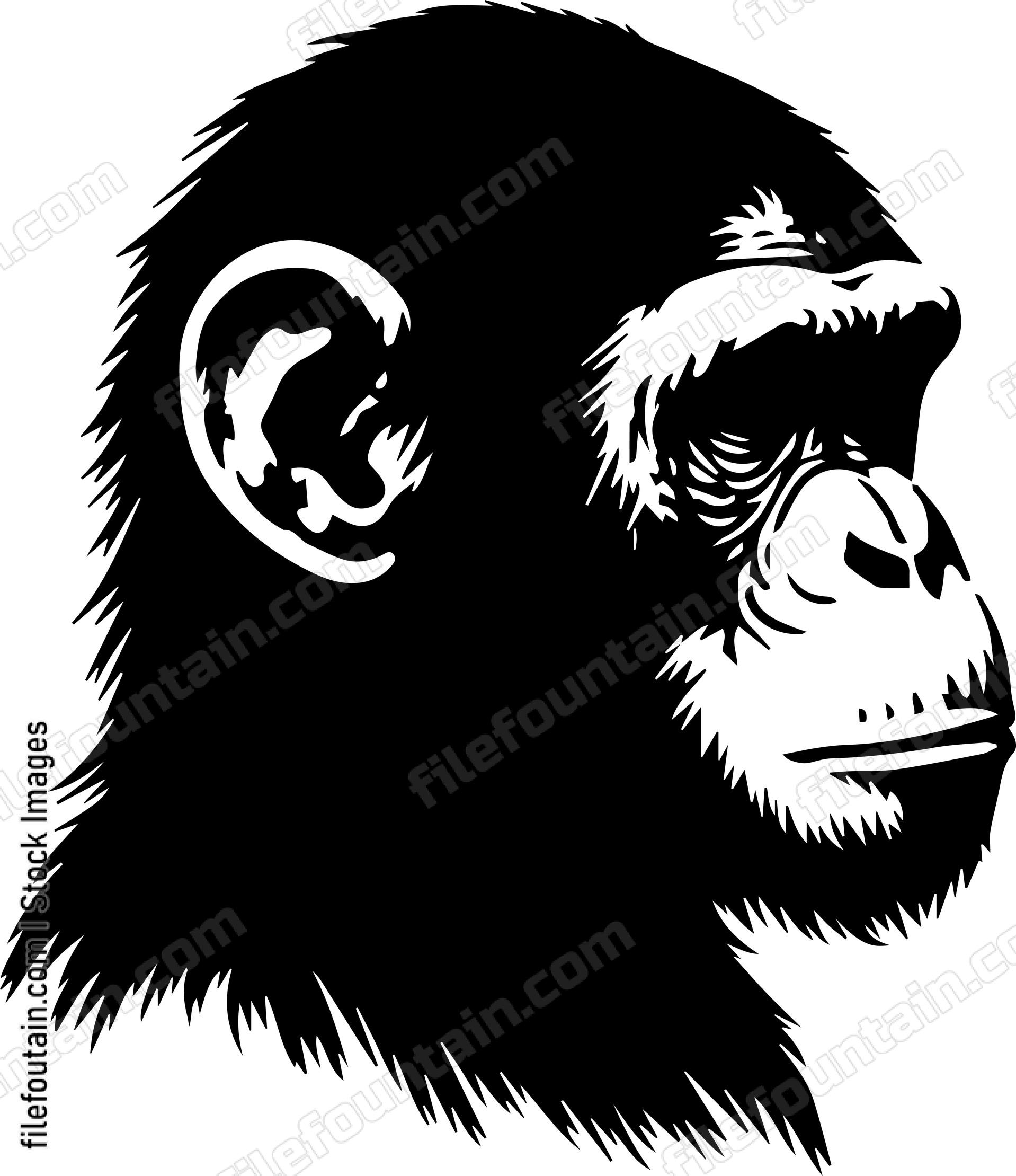 Chimp