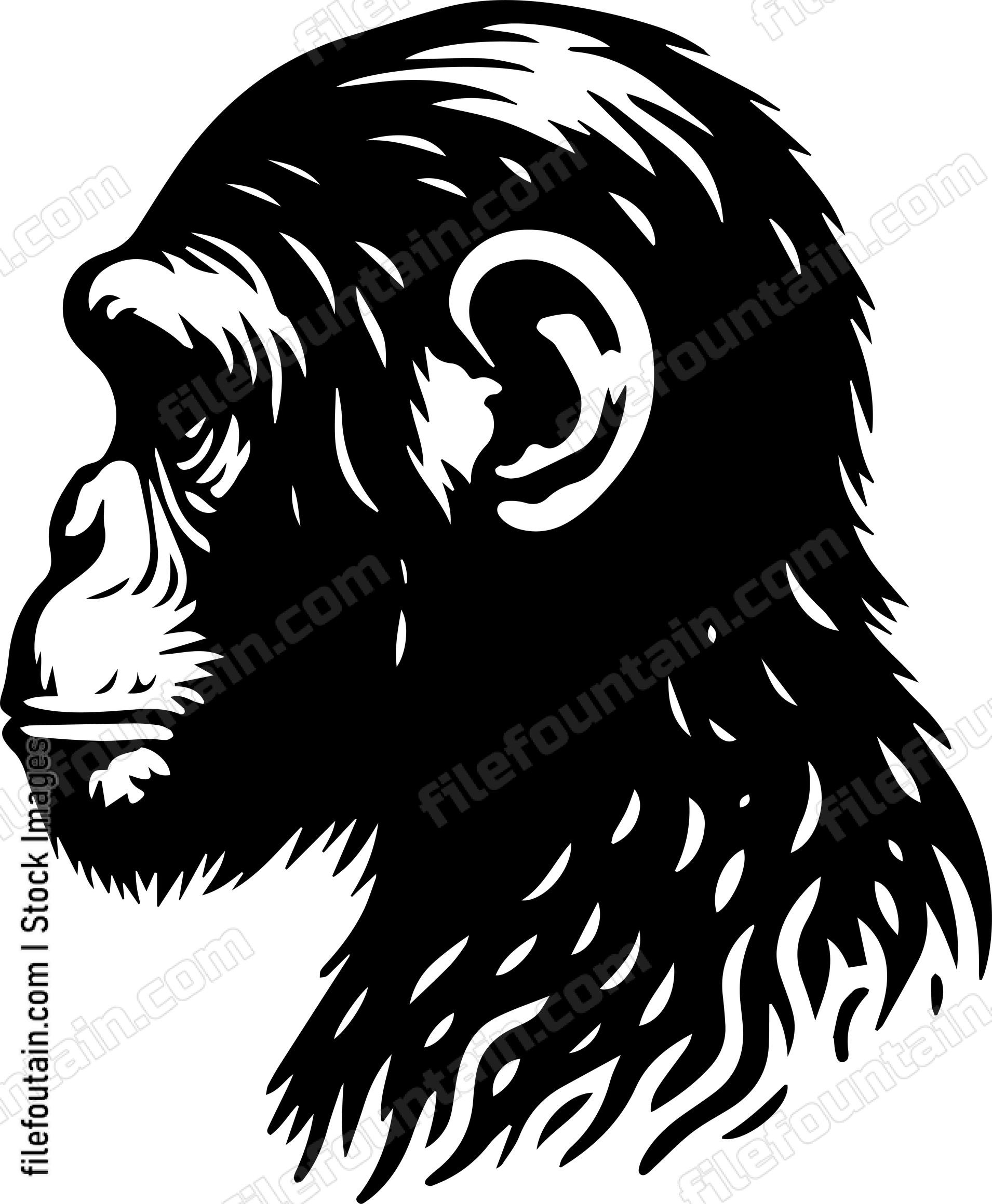 Chimp