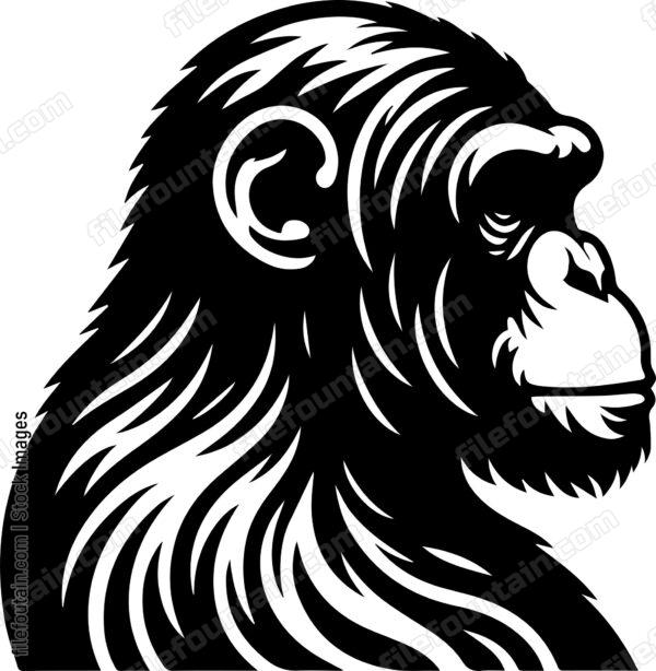 Chimp