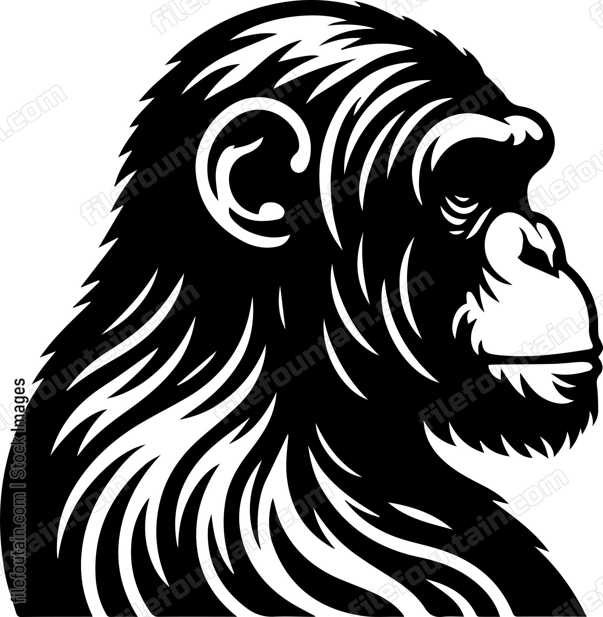 Chimp