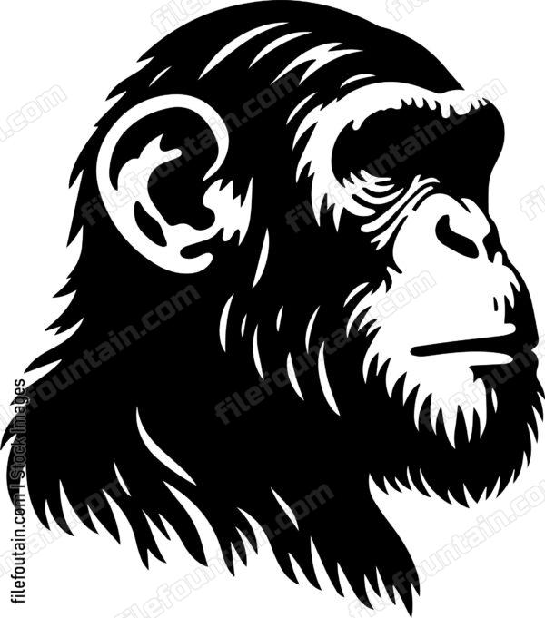 Chimp