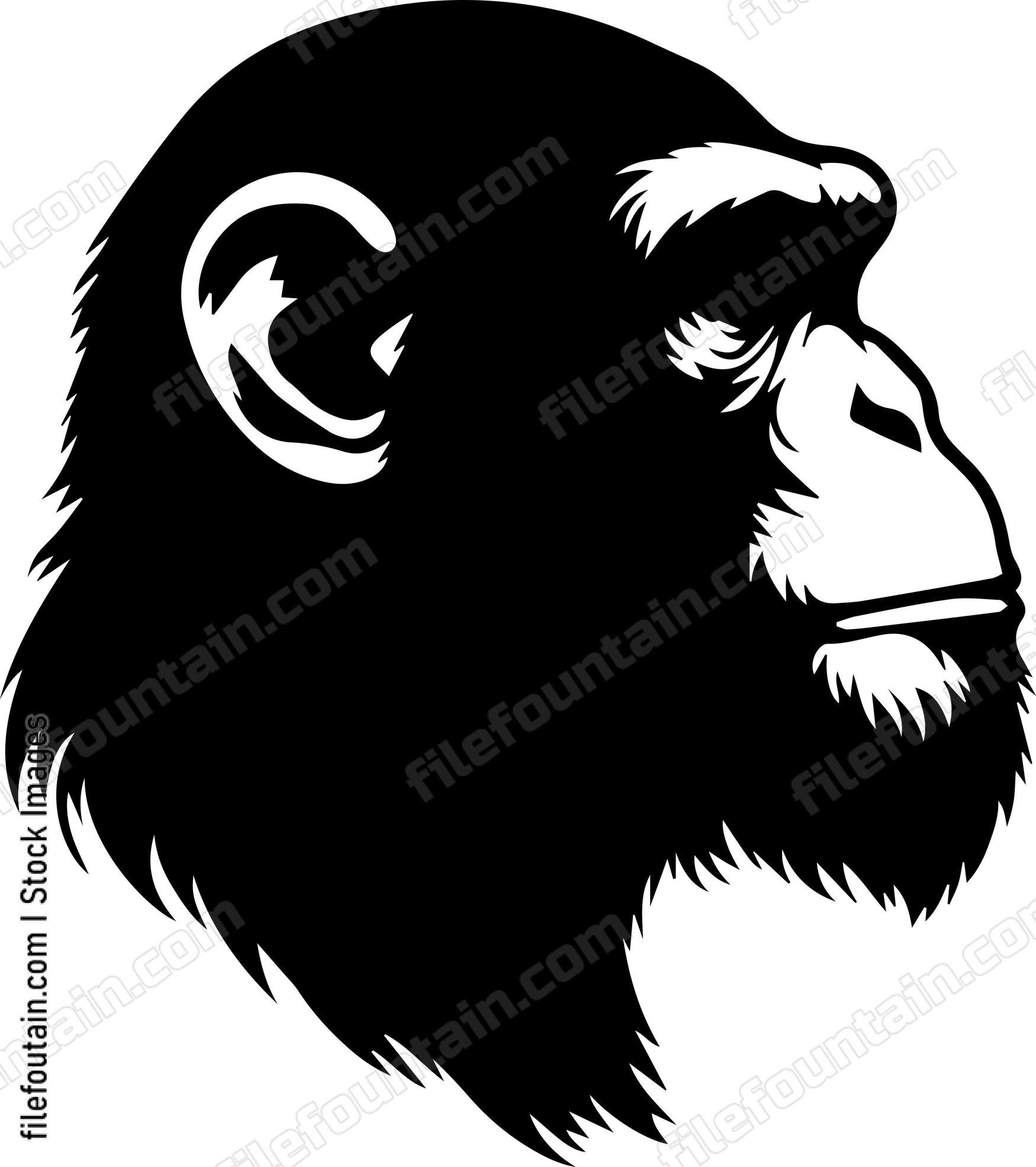 Chimp