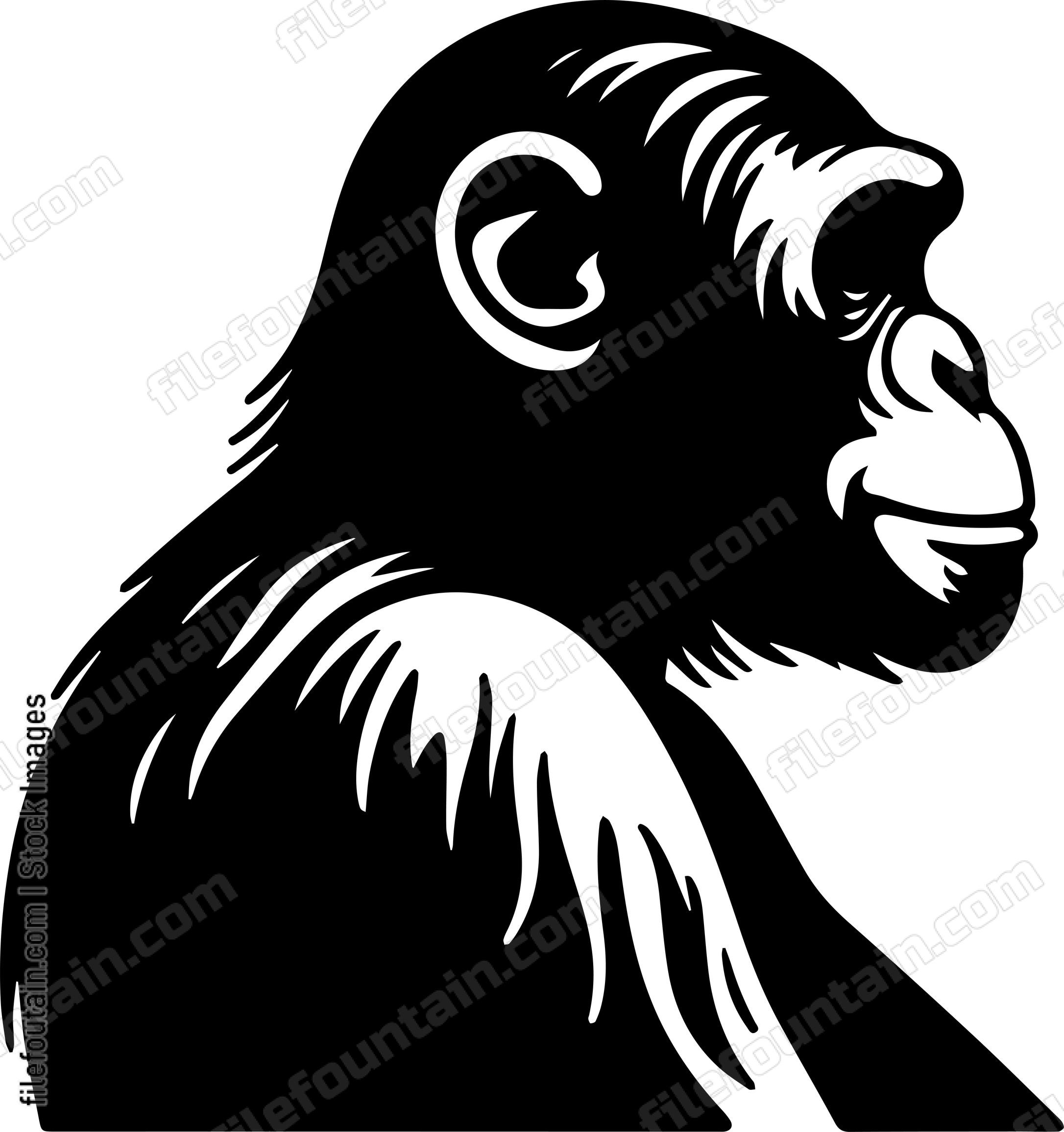 Chimpanzee