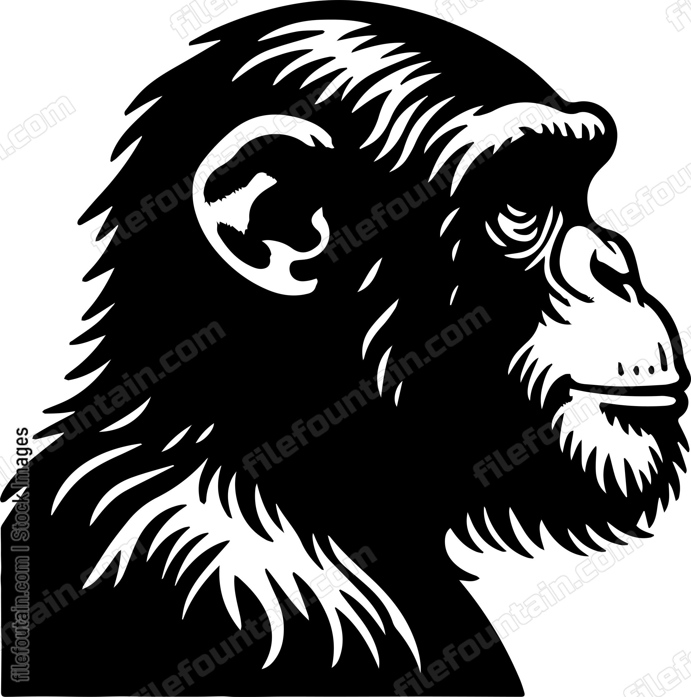 Chimpanzee