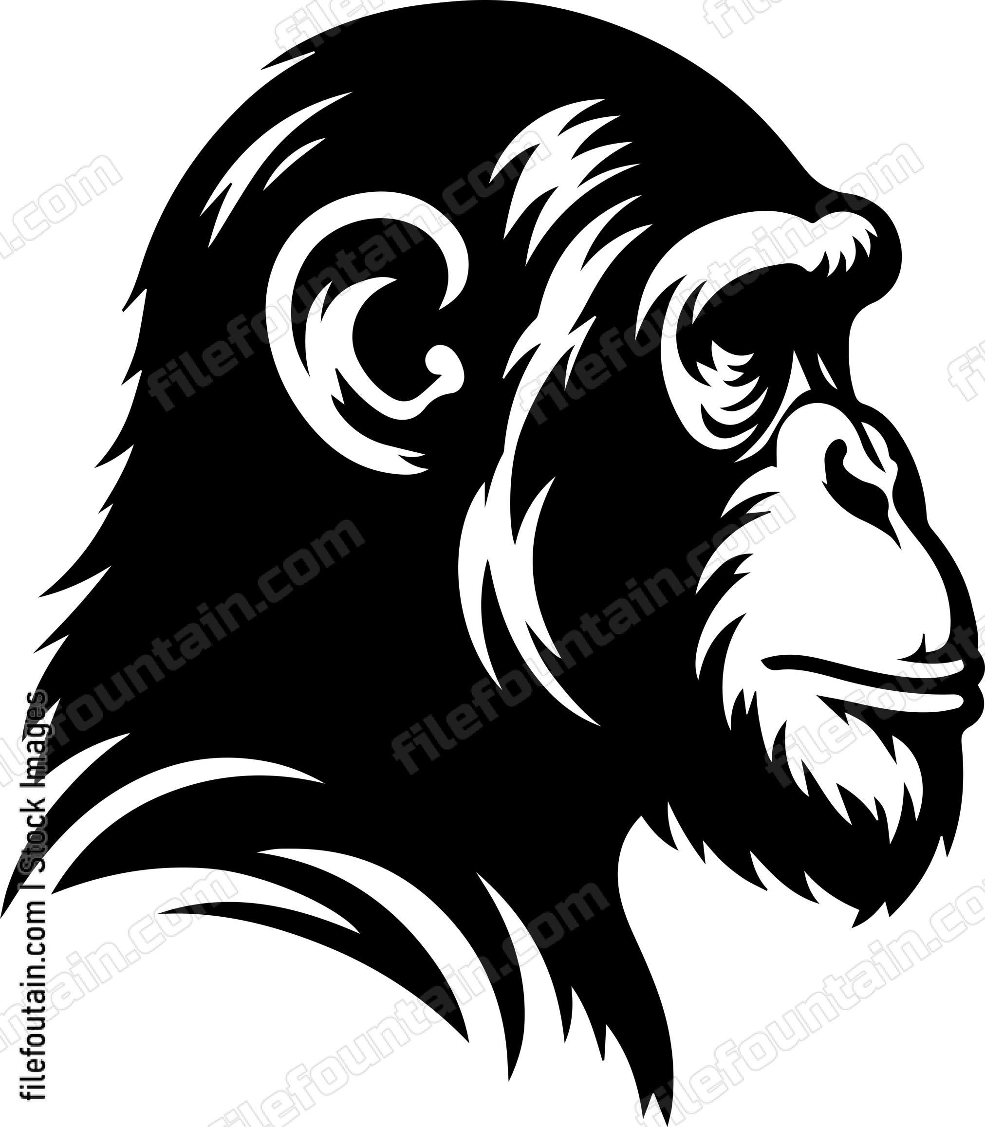 Chimpanzee