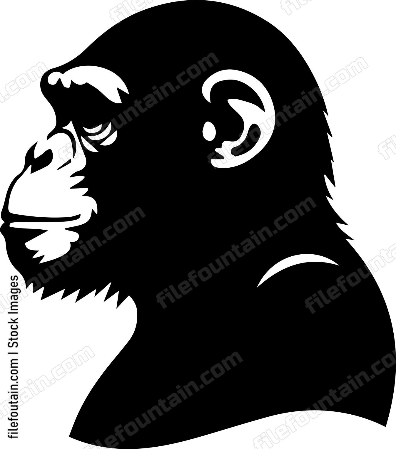 Chimpanzee
