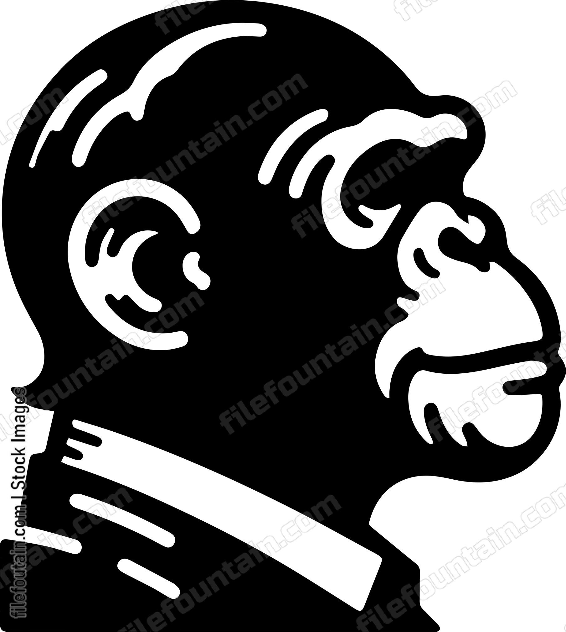 Chimpanzee