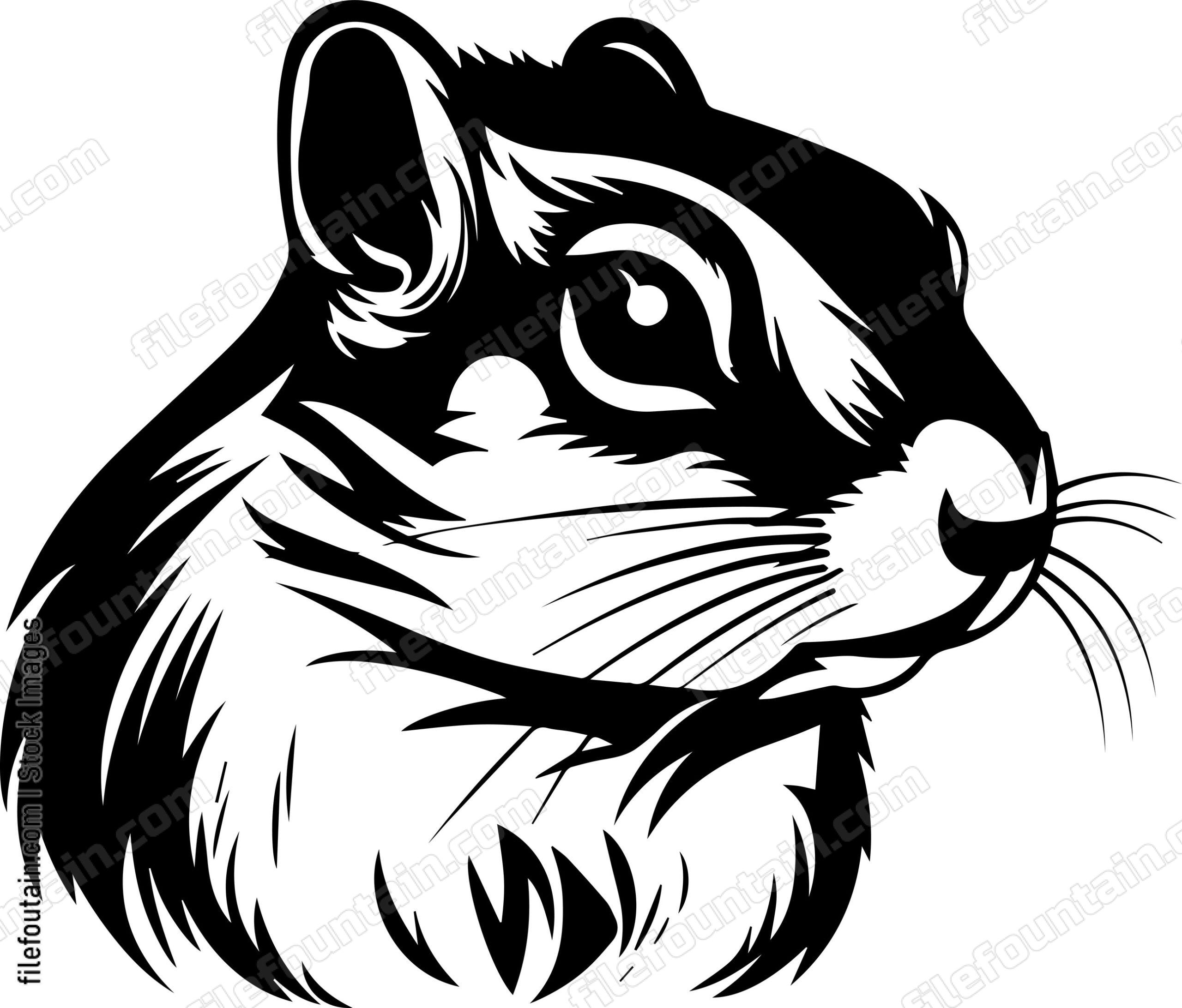Chipmunk Head