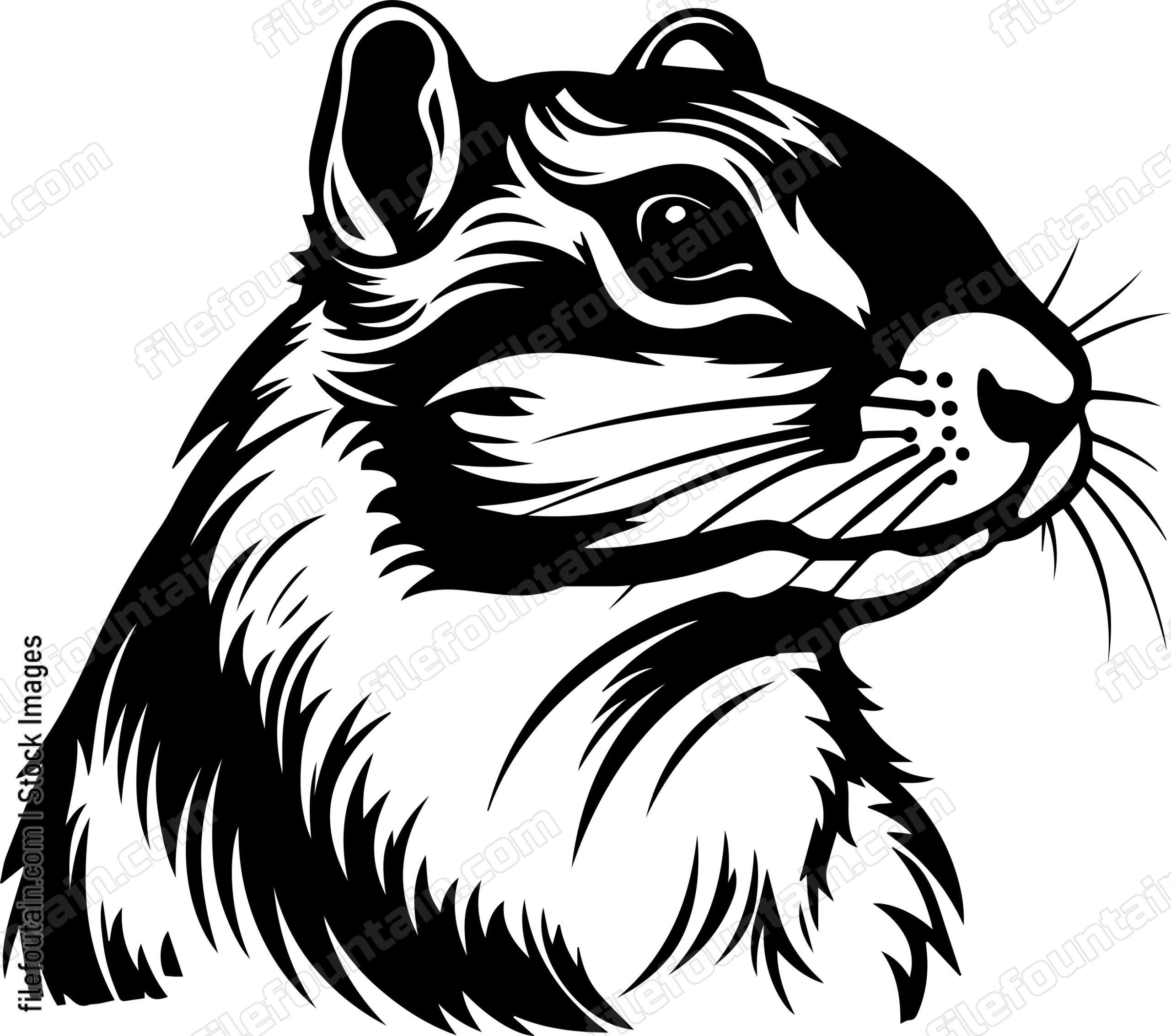 Chipmunk Head