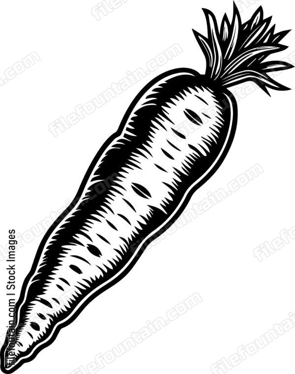 Chopped Carrot