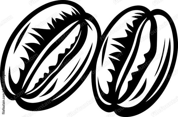 Coffee Bean