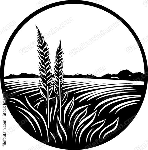 Corn Field Full Moon