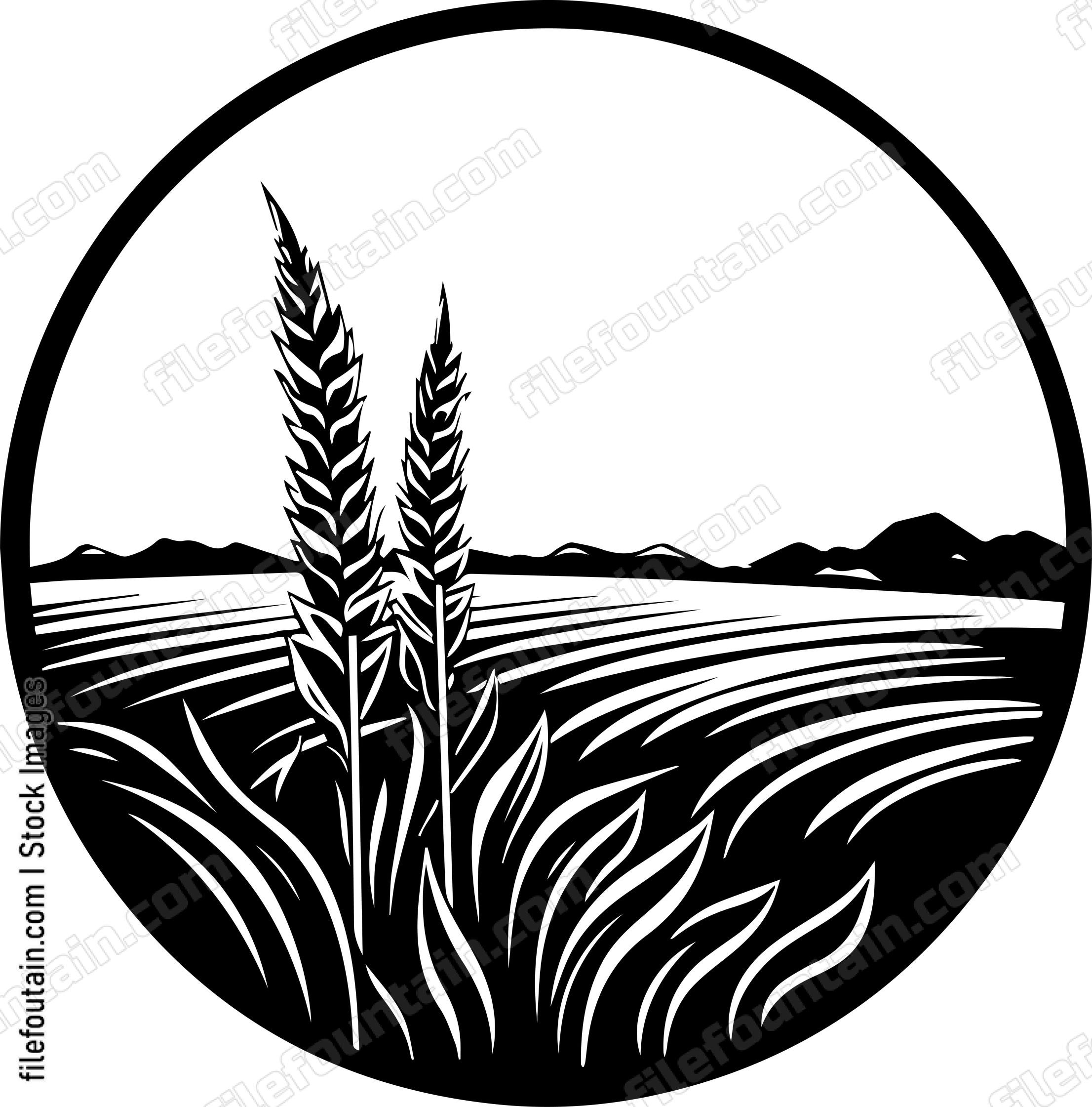 Corn Field Full Moon