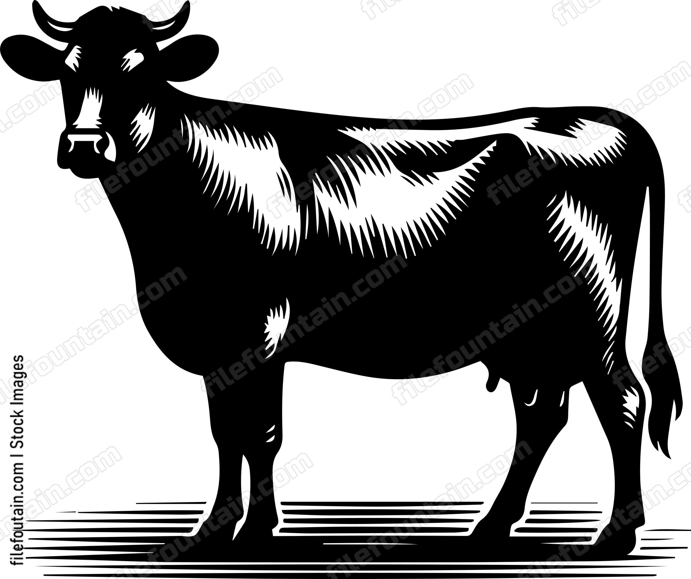 Cow