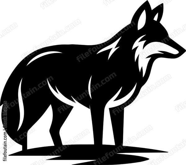 Coyote