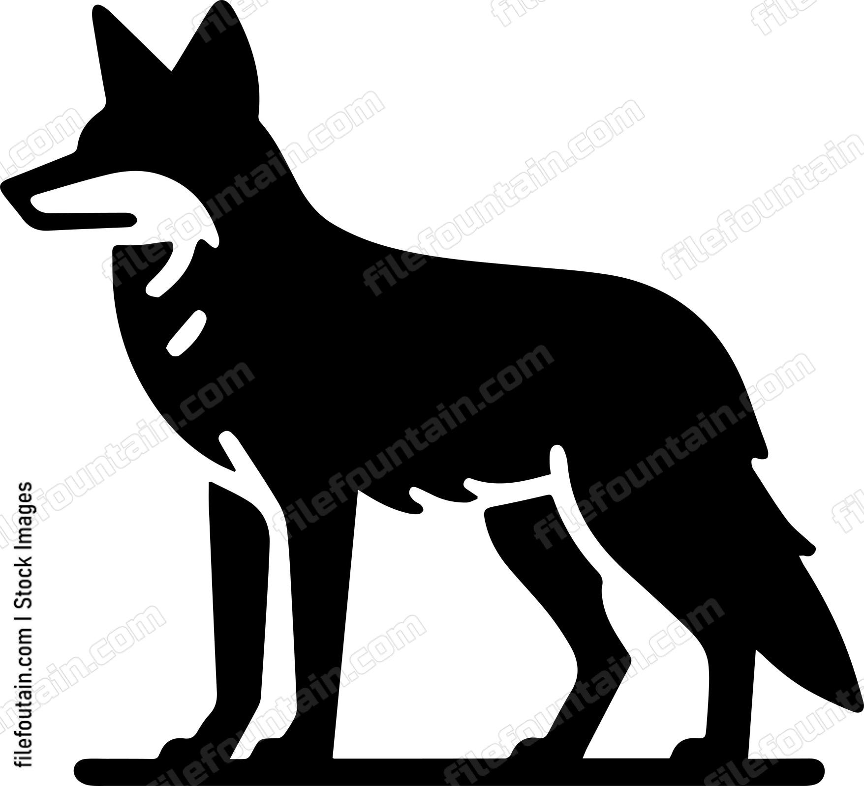 Coyote