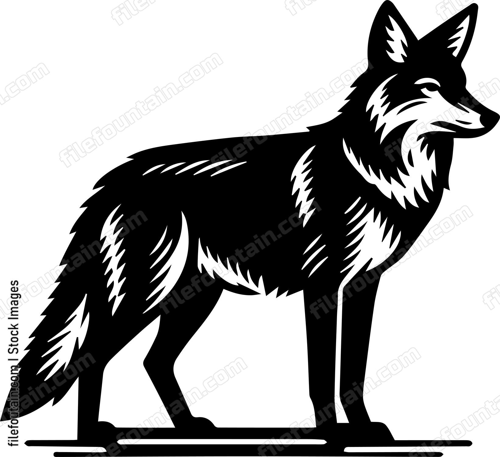 Coyote