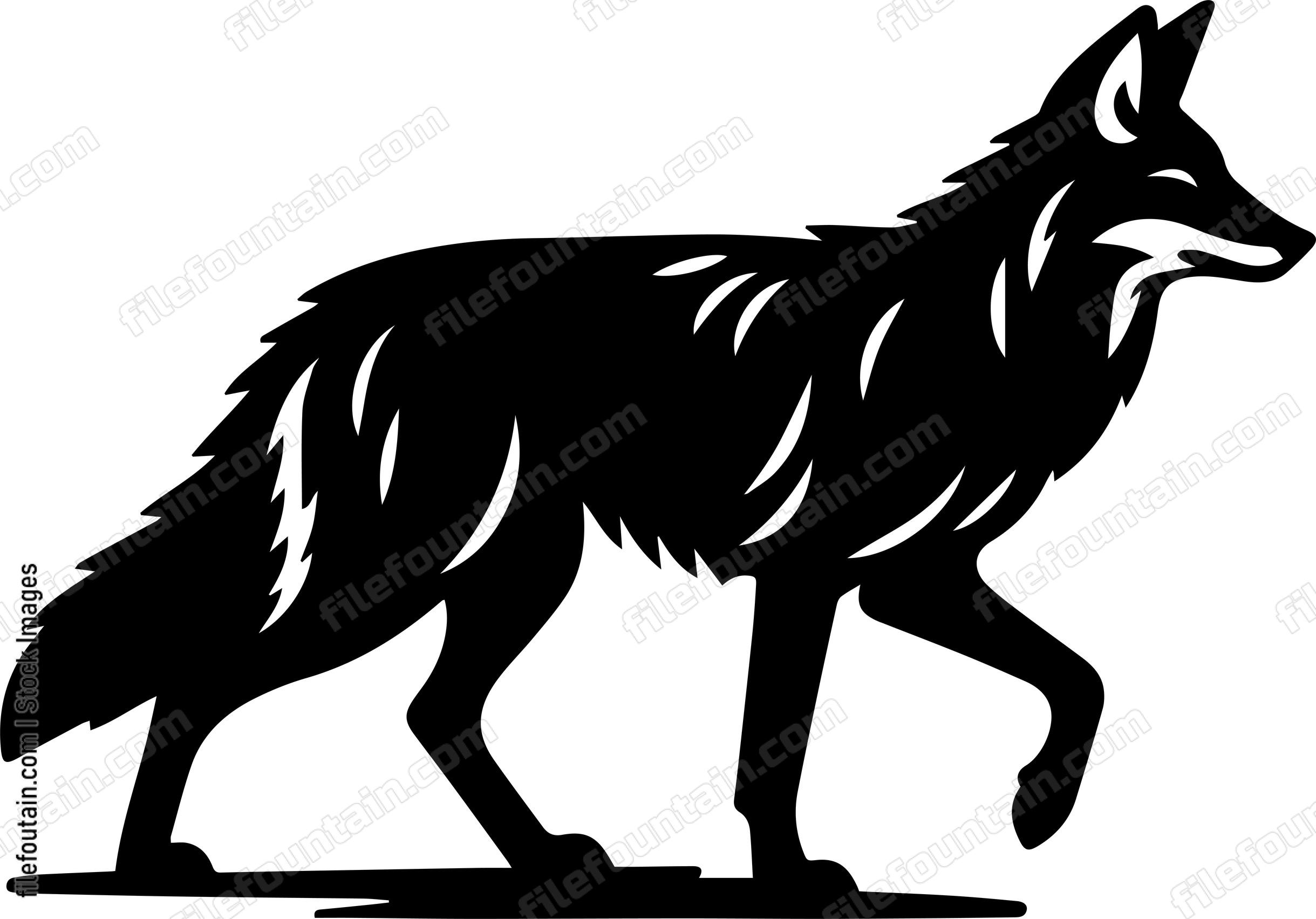 Coyote