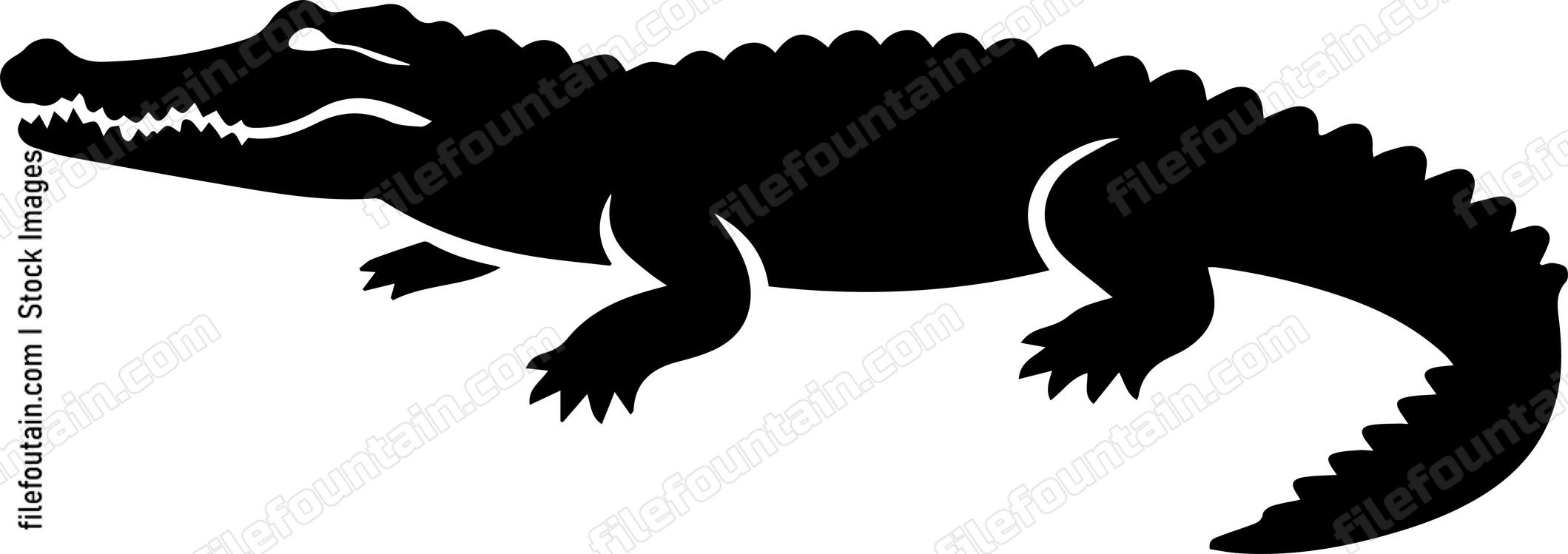 Crocodile