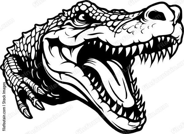 Crocodile