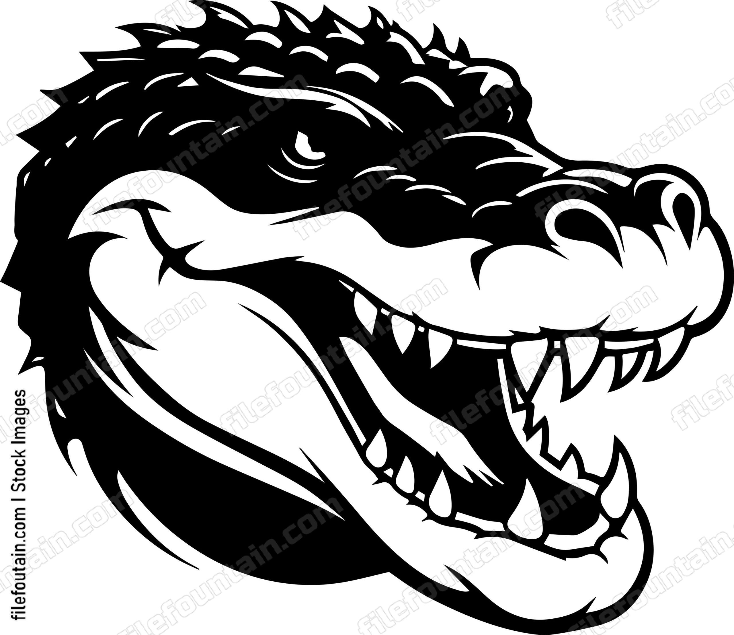 Crocodile