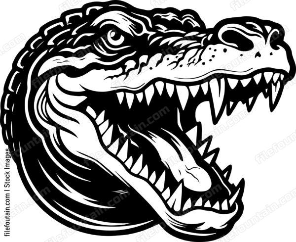 Crocodile