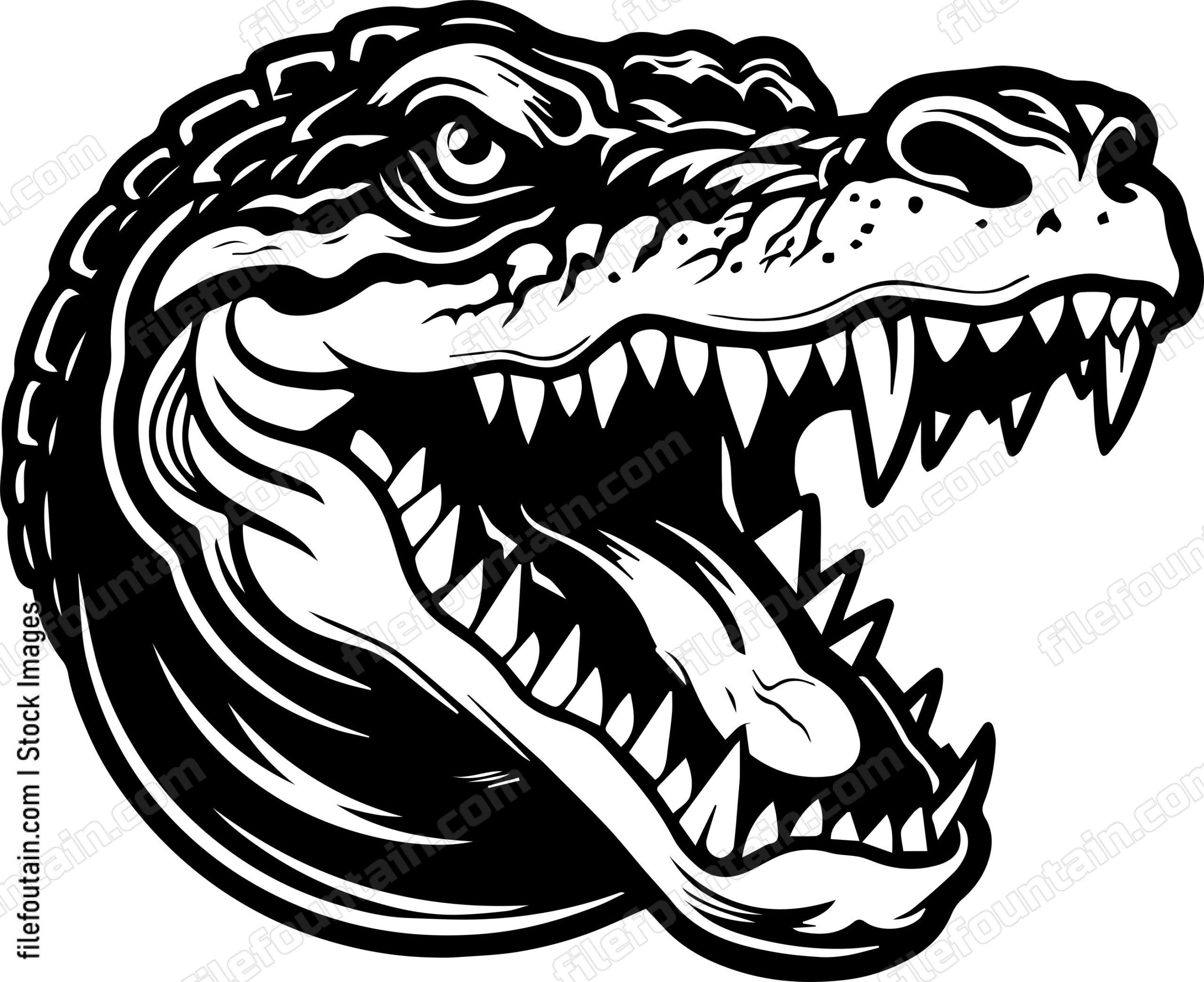 Crocodile