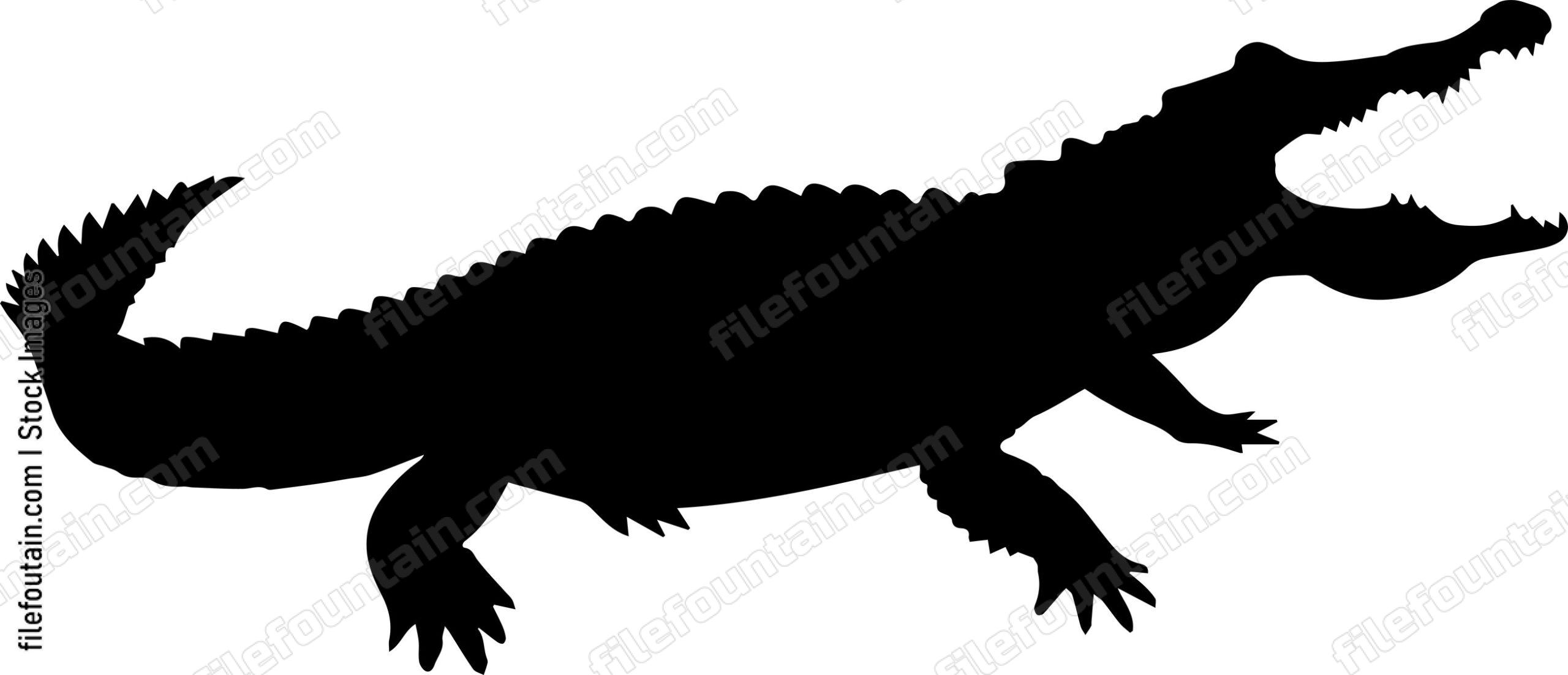 Crocodile
