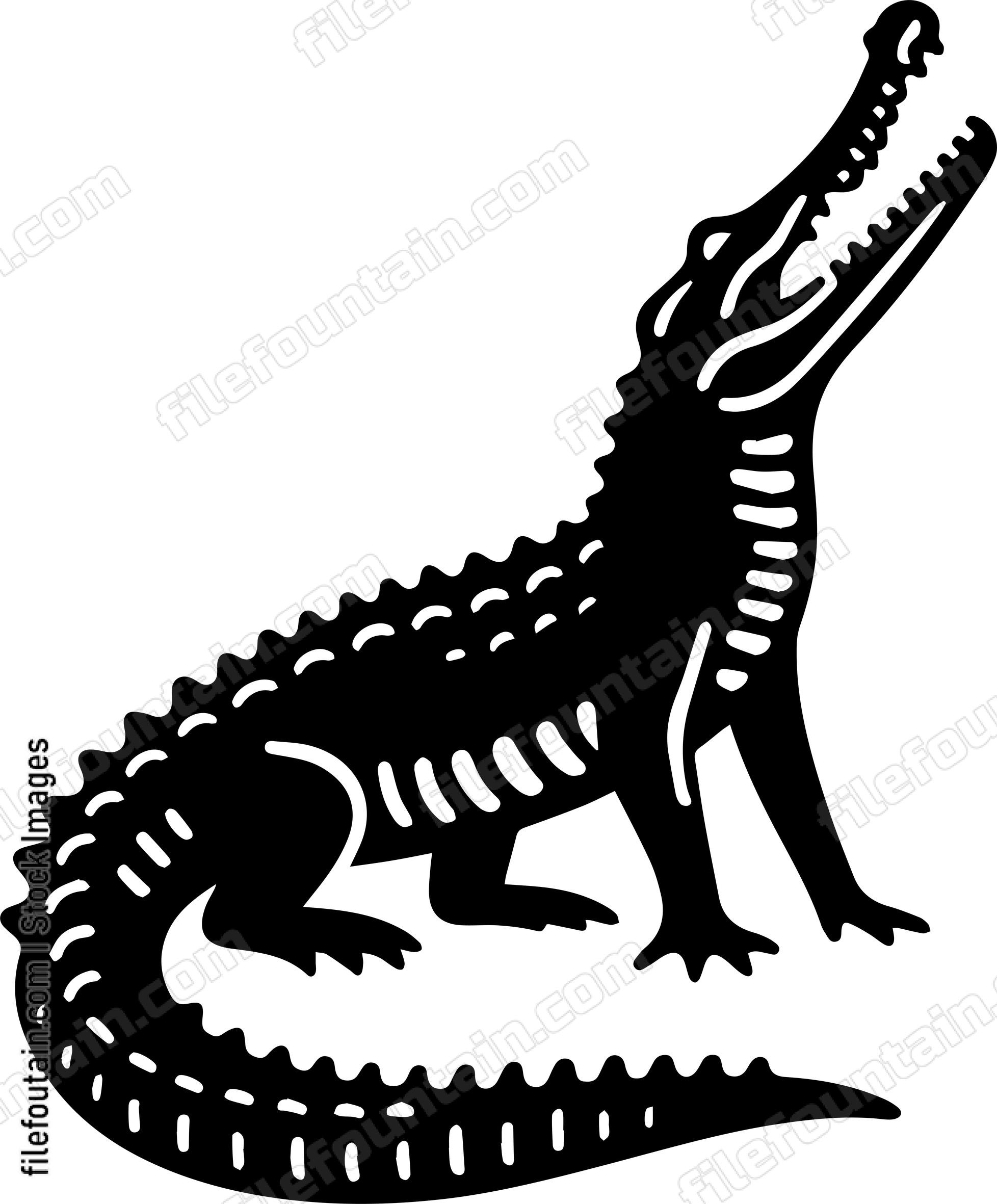 Crocodile