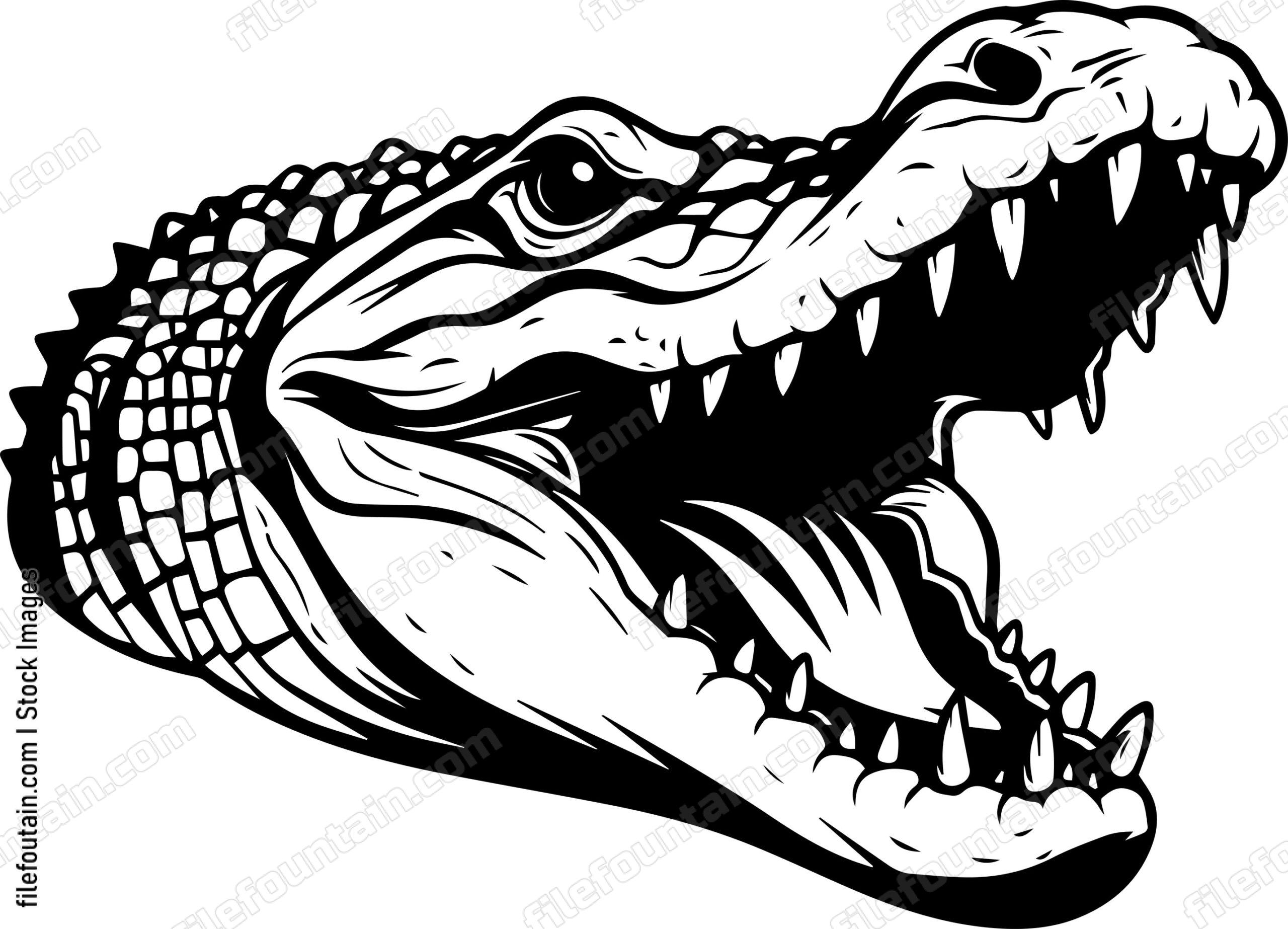 Crocodile Open Mouth