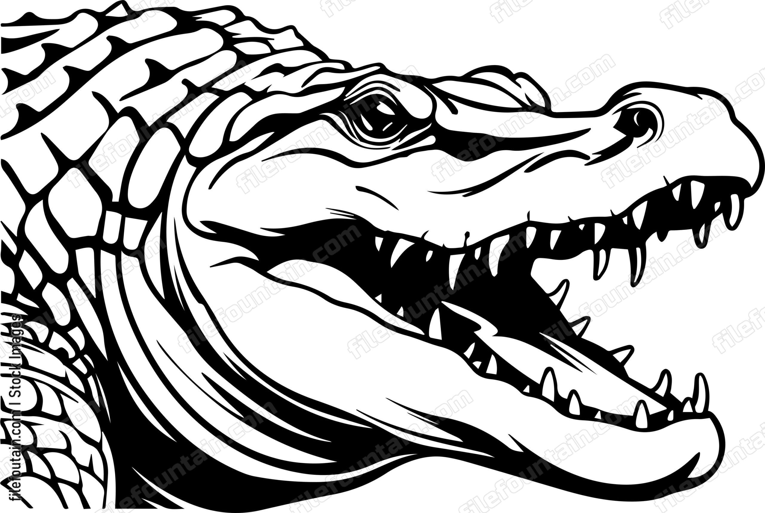 Crocodile Open Mouth