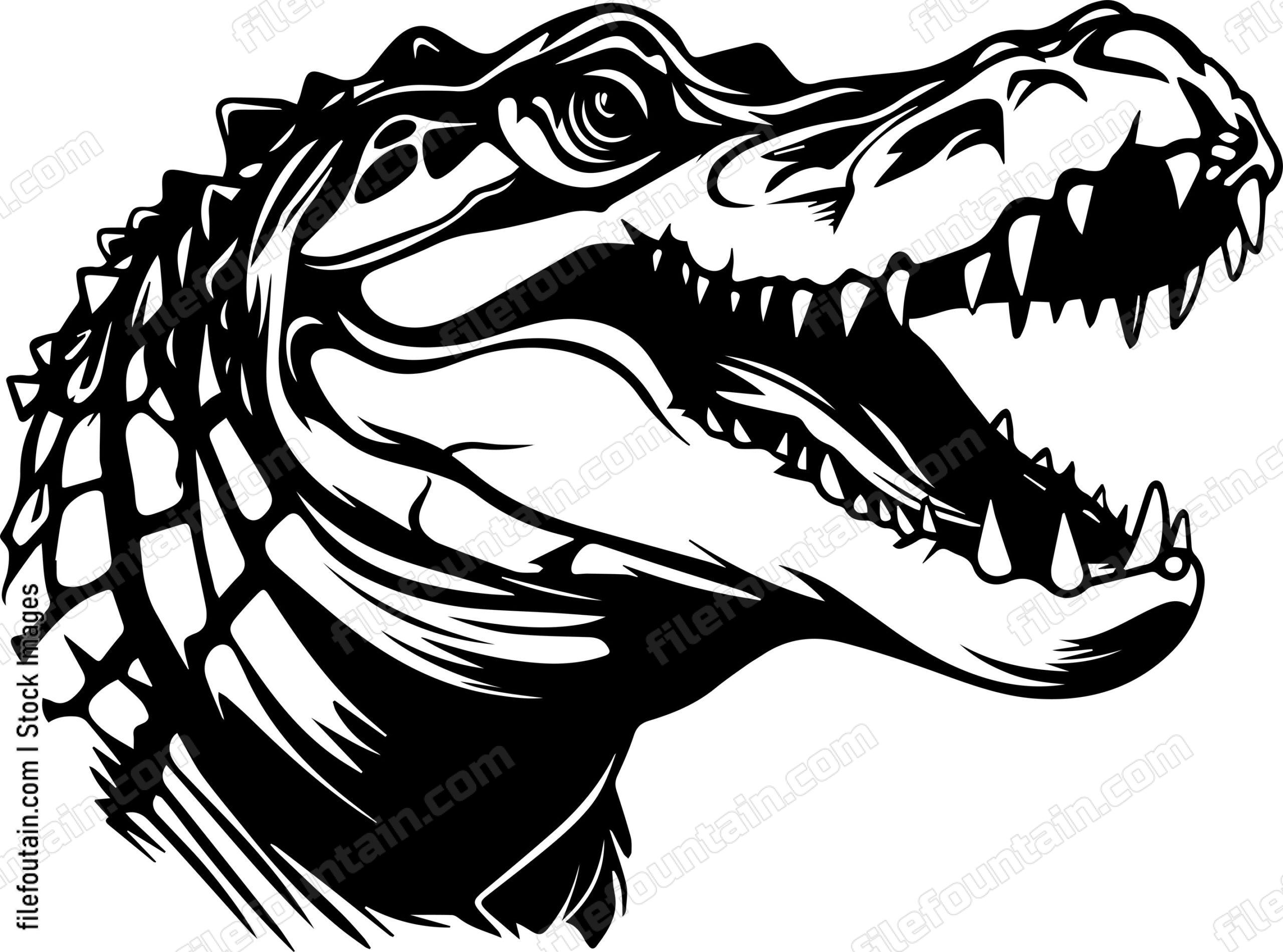 Crocodile Teeth