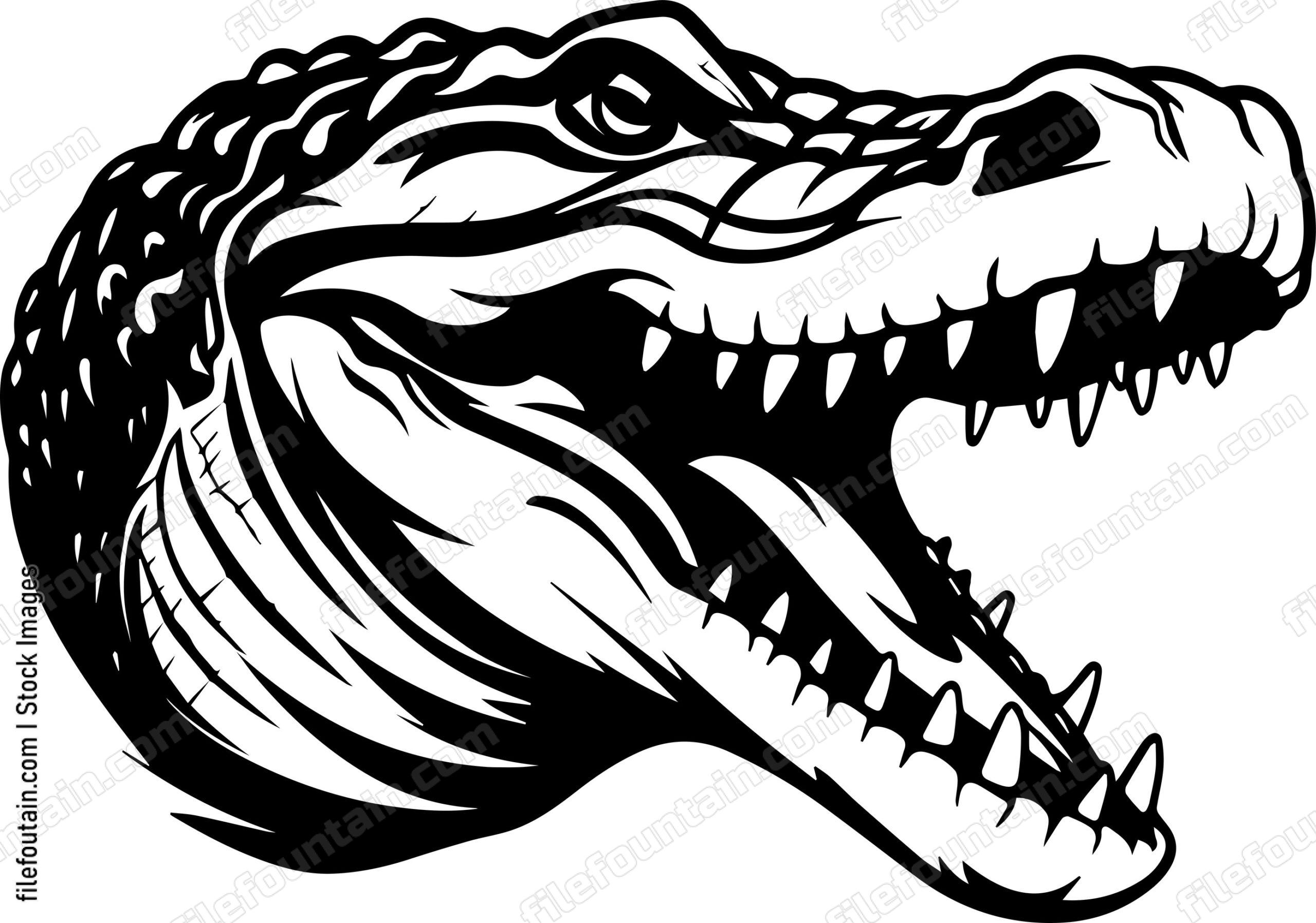 Crocodile Teeth