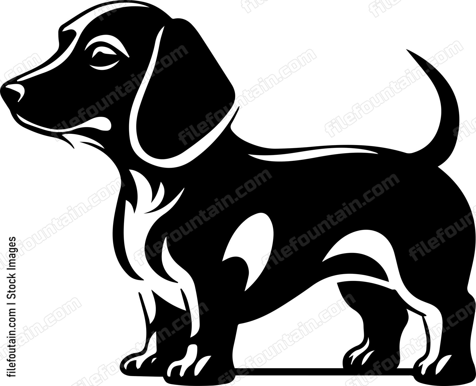 Dachshund