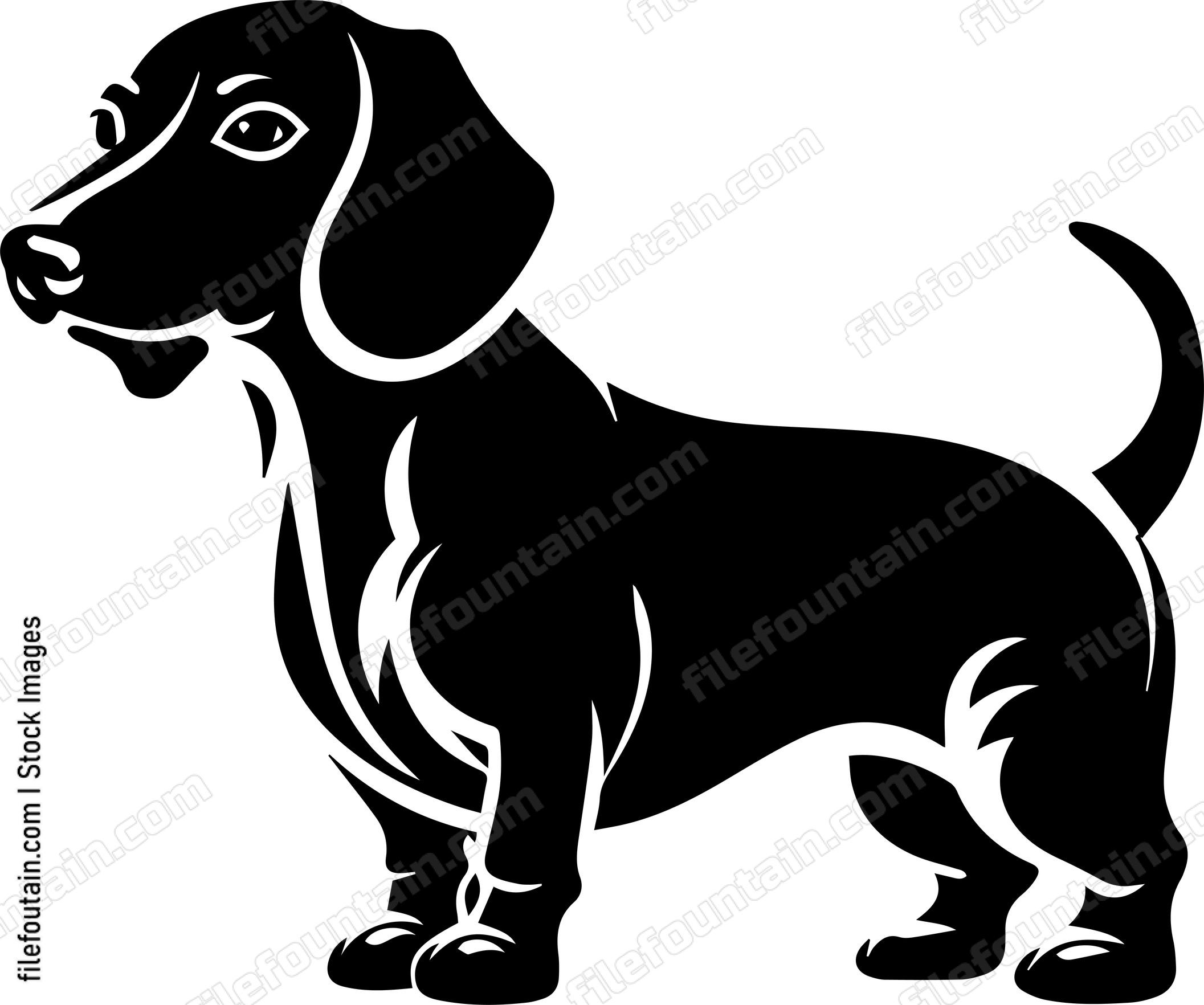 Dachshund