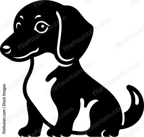Dachshund