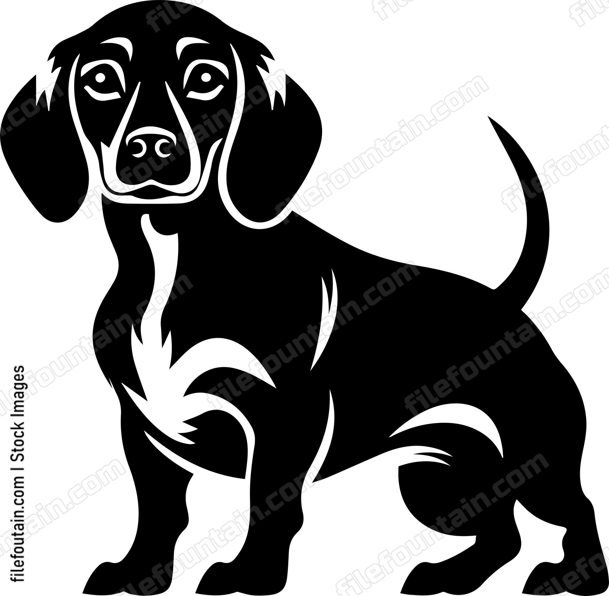 Dachshund