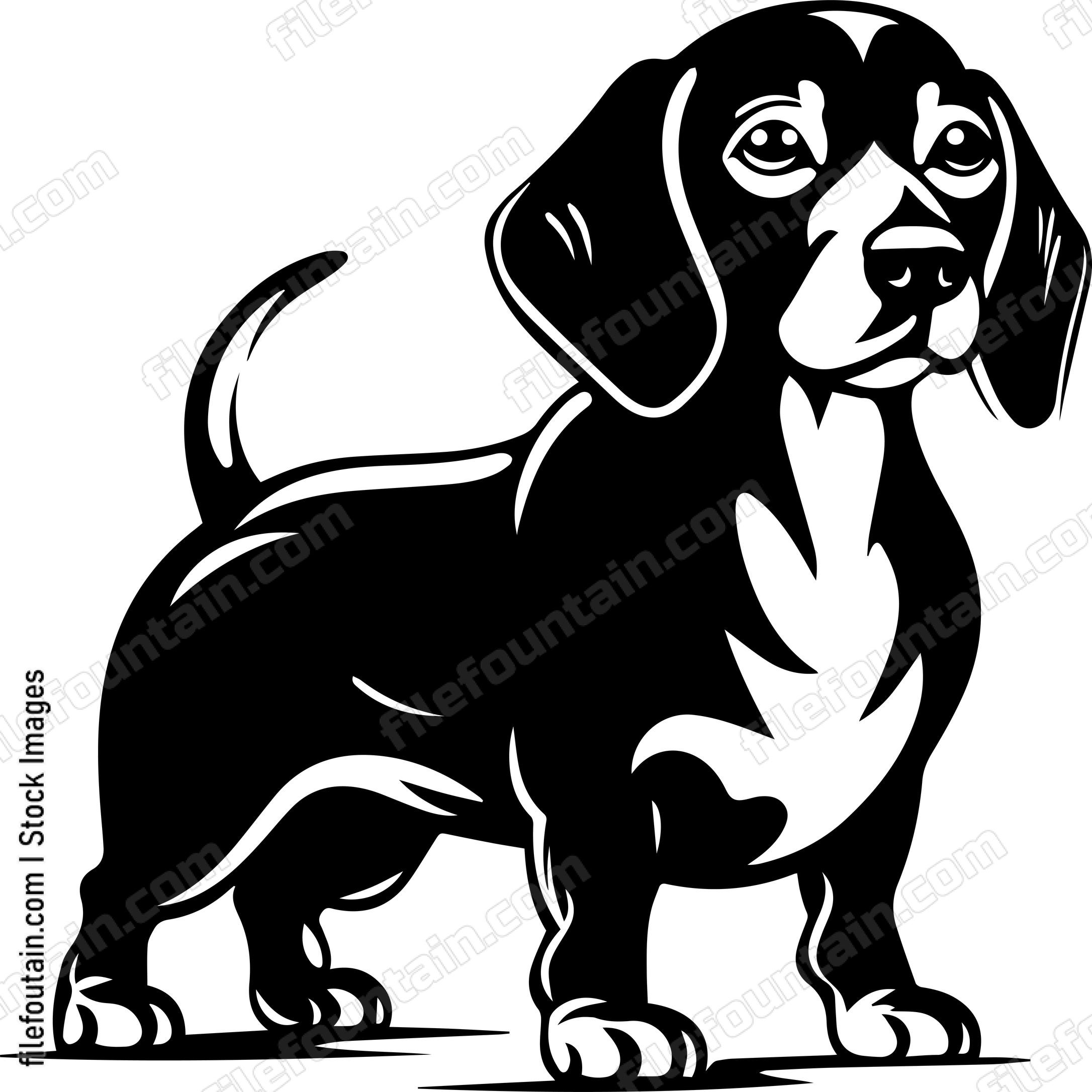 Dachshund