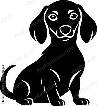 Dachshund