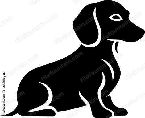 Dachshund