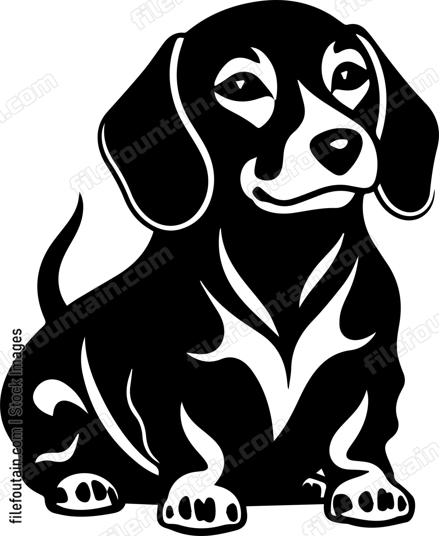 Dachshund