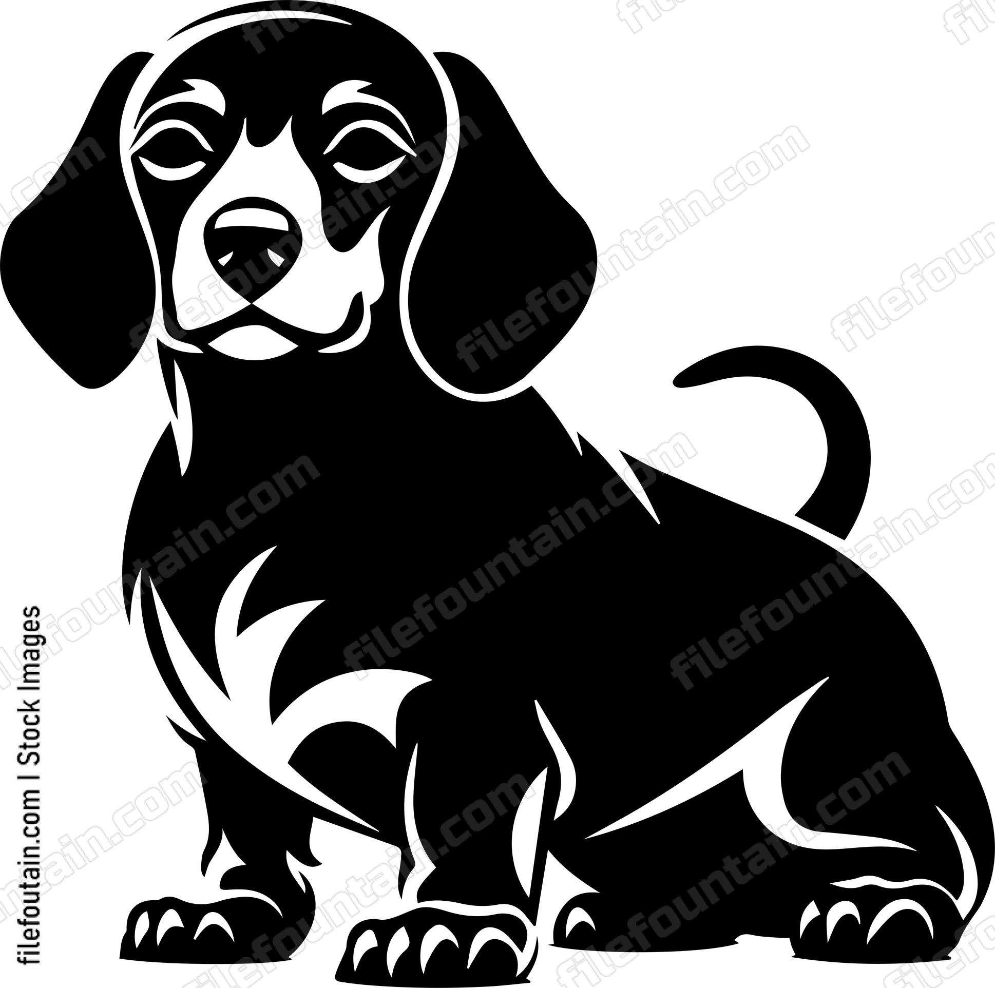 Dachshund