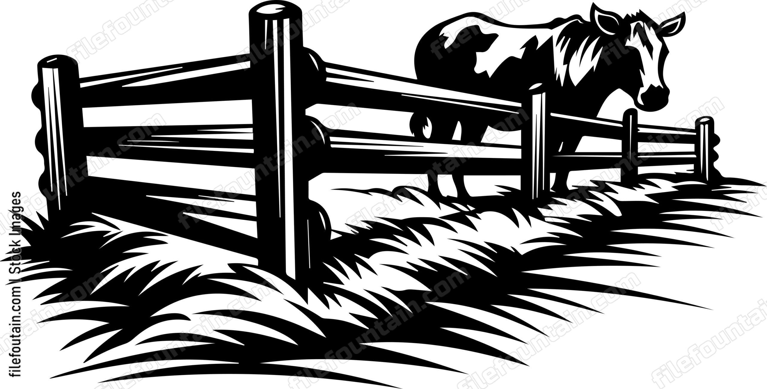 Dairy Cow In A Fence