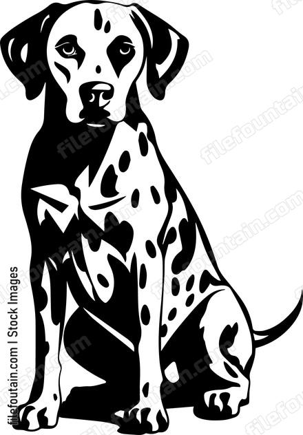 Dalmatian