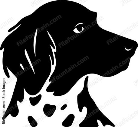 Dalmatian