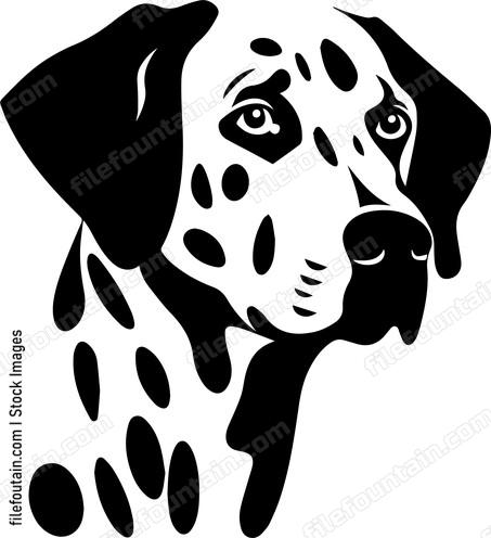 Dalmatian