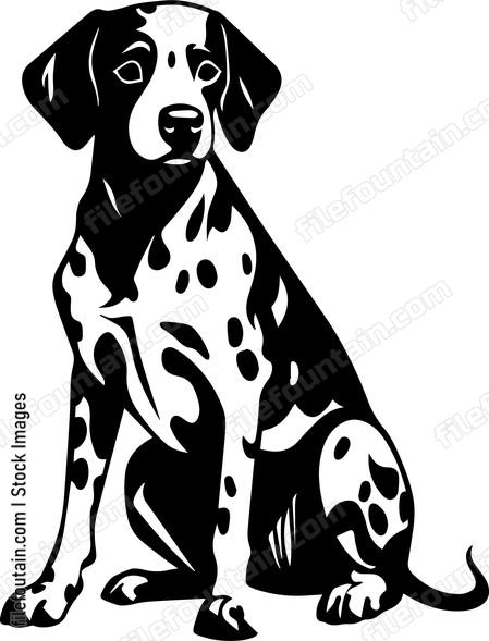 Dalmatian
