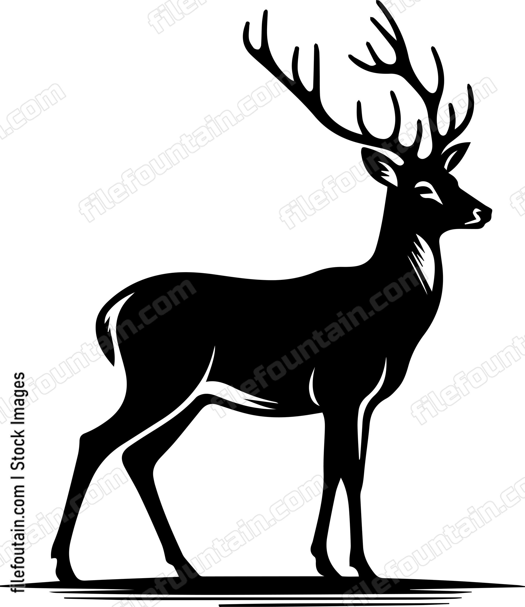 Deer
